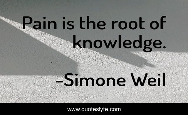 Pain is the root of knowledge.