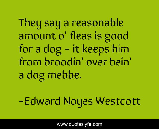 They say a reasonable amount o' fleas is good for a dog - it keeps him from broodin' over bein' a dog mebbe.