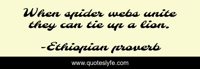When spider webs unite they can tie up a lion.