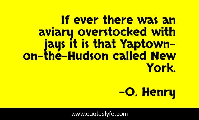 If ever there was an aviary overstocked with jays it is that Yaptown-on-the-Hudson called New York.