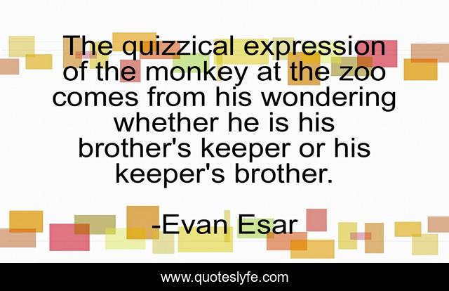 The quizzical expression of the monkey at the zoo comes from his wondering whether he is his brother's keeper or his keeper's brother.
