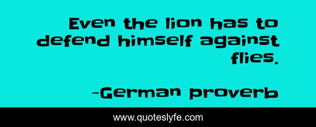 Even the lion has to defend himself against flies.