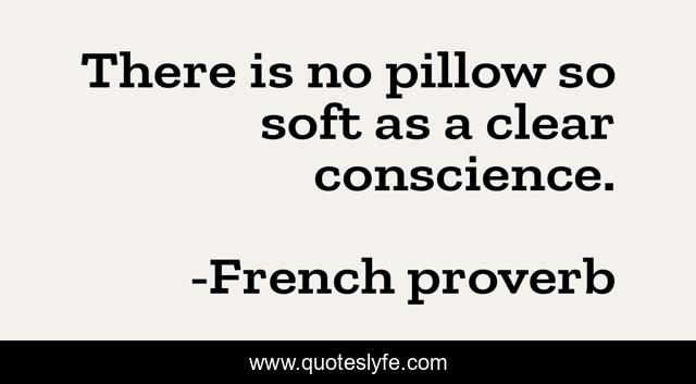 There is no pillow so soft as a clear conscience.