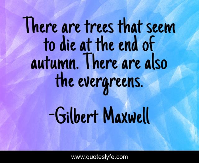 There are trees that seem to die at the end of autumn. There are also the evergreens.