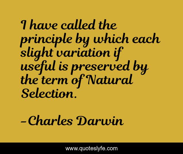 I have called the principle by which each slight variation if useful is preserved by the term of Natural Selection.