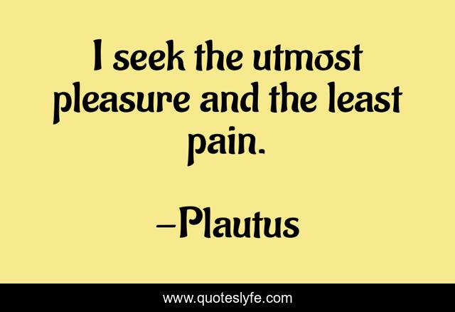 I seek the utmost pleasure and the least pain.