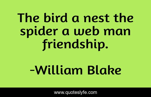 The bird a nest the spider a web man friendship.