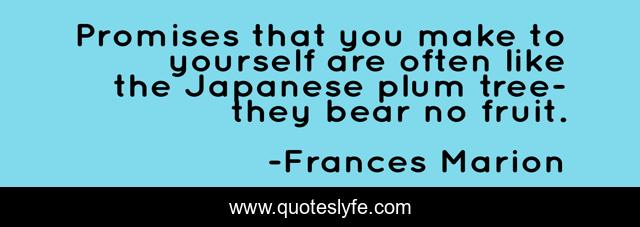 Promises that you make to yourself are often like the Japanese plum tree-they bear no fruit.