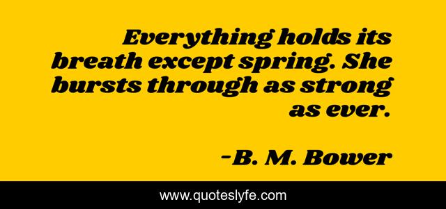 Everything holds its breath except spring. She bursts through as strong as ever.