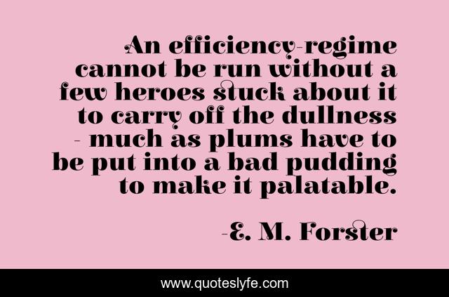 An efficiency-regime cannot be run without a few heroes stuck about it to carry off the dullness - much as plums have to be put into a bad pudding to make it palatable.