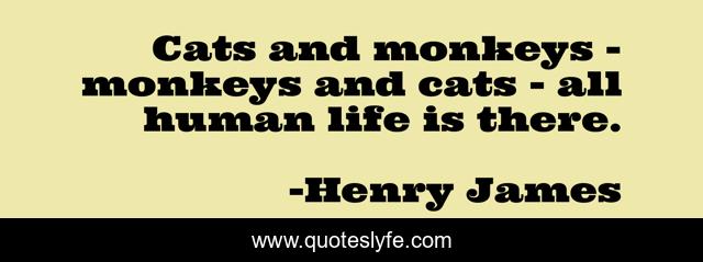 Cats and monkeys - monkeys and cats - all human life is there.