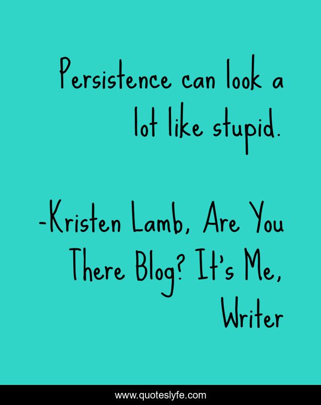 Persistence can look a lot like stupid.