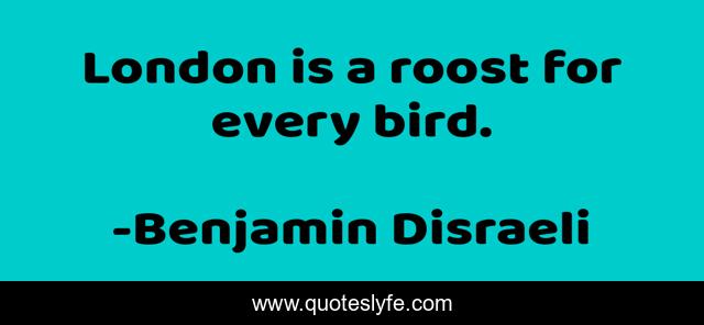 London is a roost for every bird.