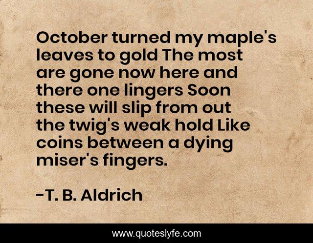 October turned my maple's leaves to gold The most are gone now here and there one lingers Soon these will slip from out the twig's weak hold Like coins between a dying miser's fingers.