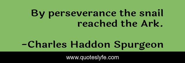 By perseverance the snail reached the Ark.
