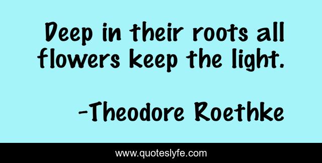 Deep in their roots all flowers keep the light.