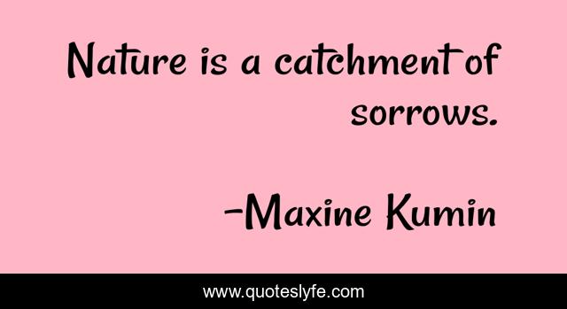 Nature is a catchment of sorrows.