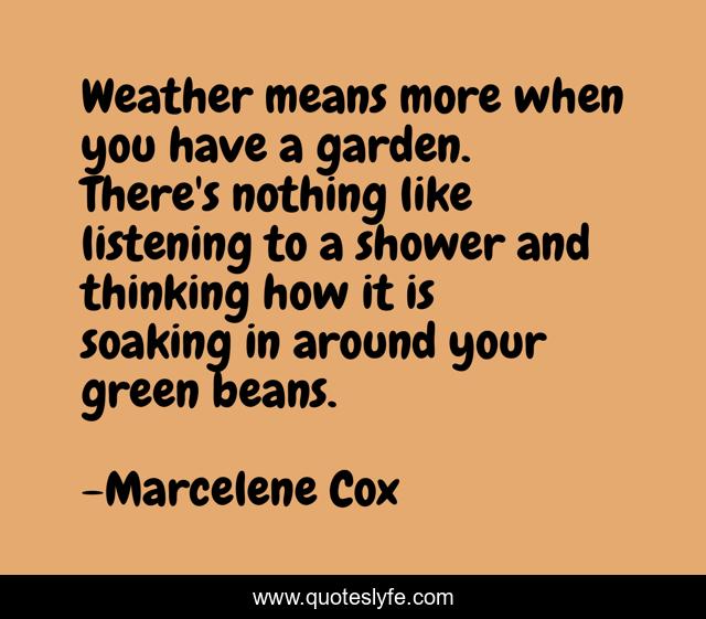 Weather means more when you have a garden. There's nothing like listening to a shower and thinking how it is soaking in around your green beans.