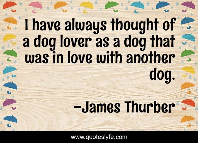 I have always thought of a dog lover as a dog that was in love with another dog.