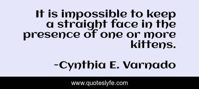 It is impossible to keep a straight face in the presence of one or more kittens.