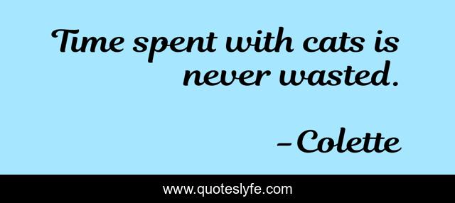 Time spent with cats is never wasted.