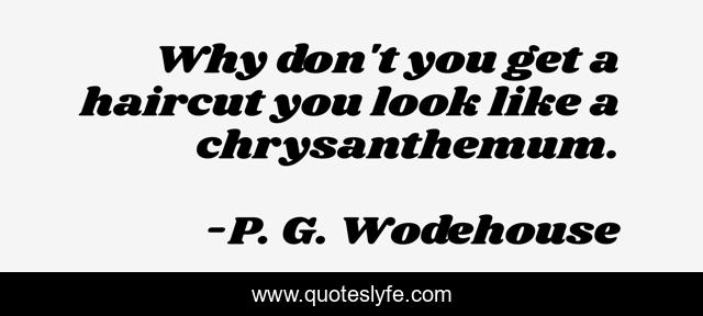 Why don't you get a haircut you look like a chrysanthemum.