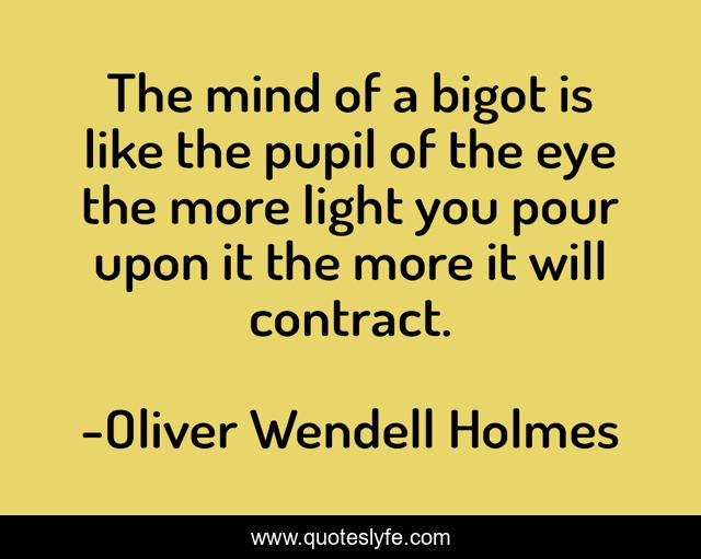 The mind of a bigot is like the pupil of the eye the more light you pour upon it the more it will contract.