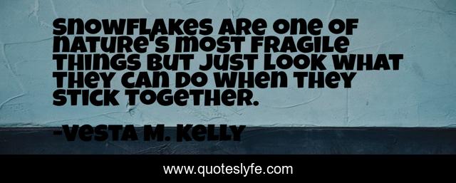 Snowflakes are one of nature's most fragile things but just look what they can do when they stick together.