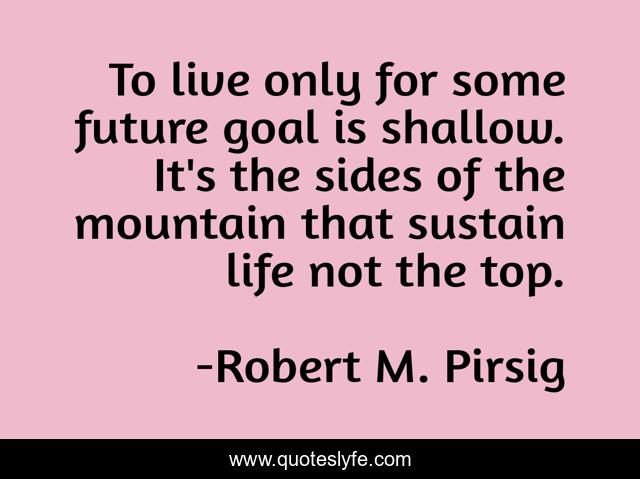 To live only for some future goal is shallow. It's the sides of the mountain that sustain life not the top.