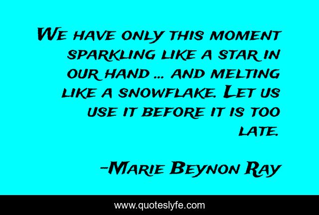 We have only this moment sparkling like a star in our hand ... and melting like a snowflake. Let us use it before it is too late.