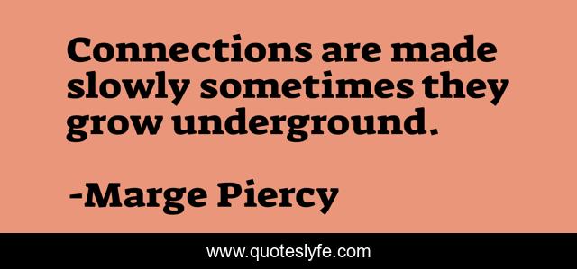 Connections are made slowly sometimes they grow underground.