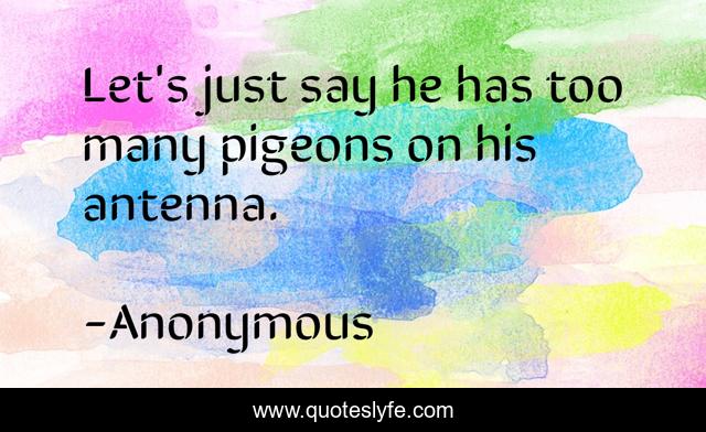 Let's just say he has too many pigeons on his antenna.