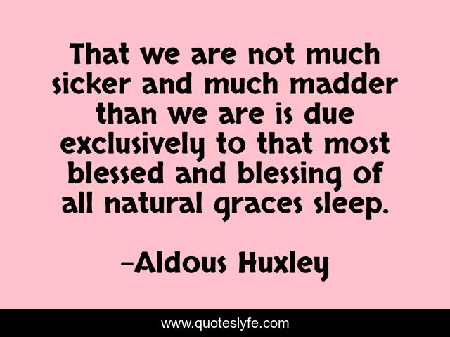 That we are not much sicker and much madder than we are is due exclusively to that most blessed and blessing of all natural graces sleep.