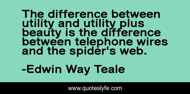 The difference between utility and utility plus beauty is the difference between telephone wires and the spider's web.