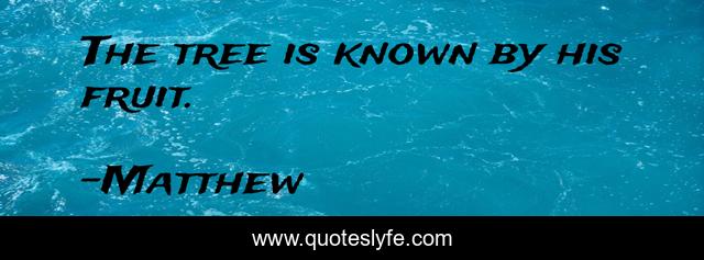 The tree is known by his fruit.