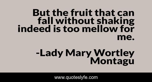 But the fruit that can fall without shaking indeed is too mellow for me.