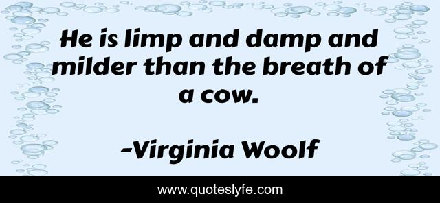 He is limp and damp and milder than the breath of a cow.