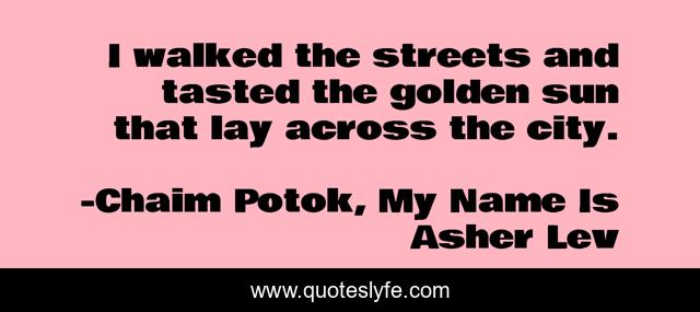 I walked the streets and tasted the golden sun that lay across the city.