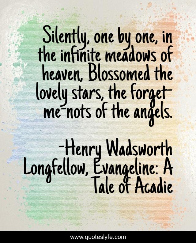 Silently, one by one, in the infinite meadows of heaven, Blossomed the lovely stars, the forget-me-nots of the angels.