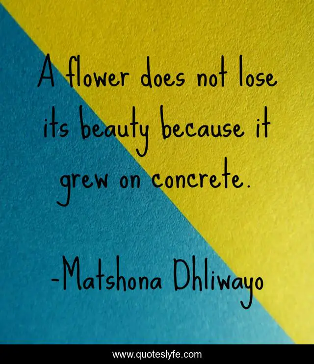 A flower does not lose its beauty because it grew on concrete.
