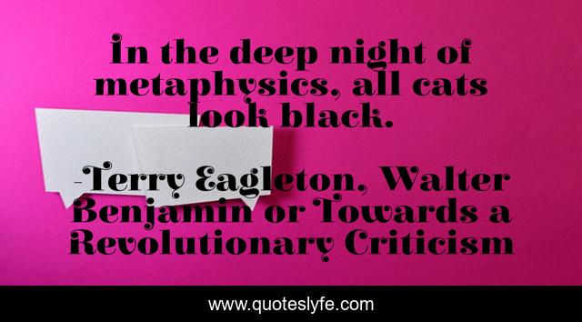 In the deep night of metaphysics, all cats look black.