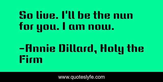 So live. I'll be the nun for you. I am now.