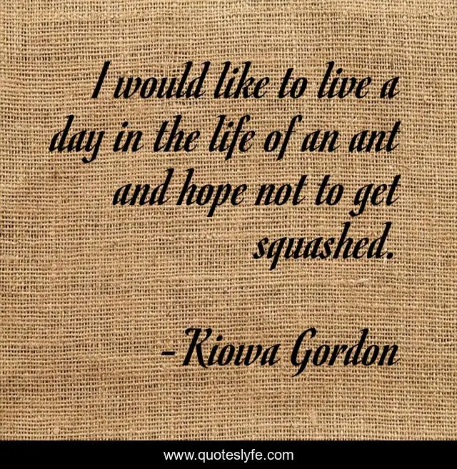 I would like to live a day in the life of an ant and hope not to get squashed.