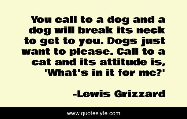 You call to a dog and a dog will break its neck to get to you. Dogs just want to please. Call to a cat and its attitude is, 'What's in it for me?'