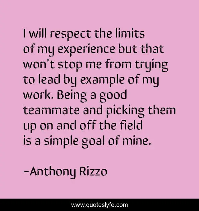 I will respect the limits of my experience but that won't stop me from trying to lead by example of my work. Being a good teammate and picking them up on and off the field is a simple goal of mine.