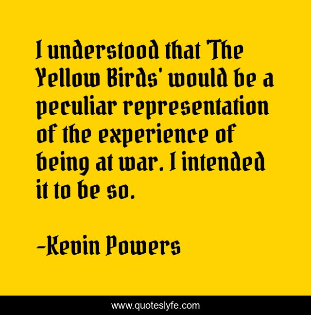 I understood that 'The Yellow Birds' would be a peculiar representation of the experience of being at war. I intended it to be so.