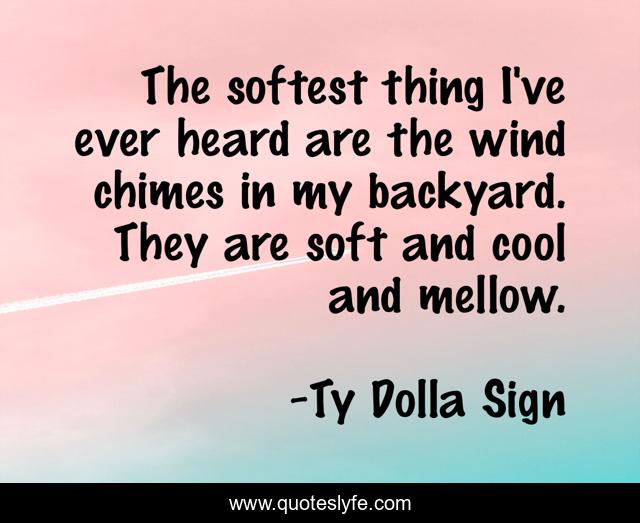 The softest thing I've ever heard are the wind chimes in my backyard. They are soft and cool and mellow.