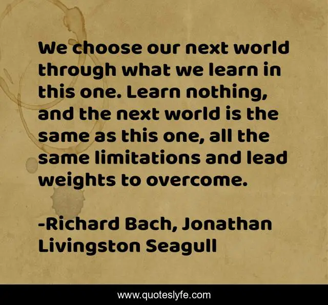 We choose our next world through what we learn in this one. Learn nothing, and the next world is the same as this one, all the same limitations and lead weights to overcome.