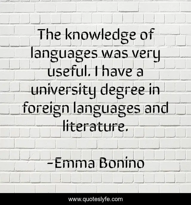The knowledge of languages was very useful. I have a university degree in foreign languages and literature.
