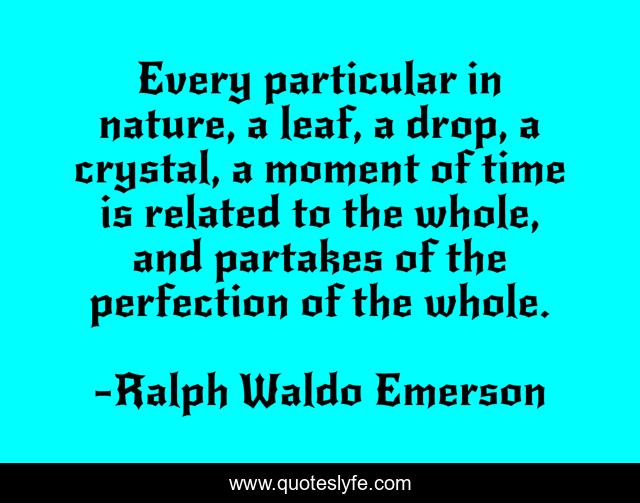 Every particular in nature, a leaf, a drop, a crystal, a moment of time is related to the whole, and partakes of the perfection of the whole.